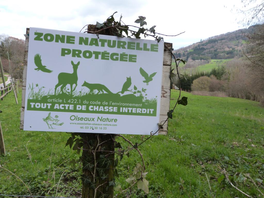 Panneau indiquant qu'il s'agit d'une réserve où la chasse est interdite.