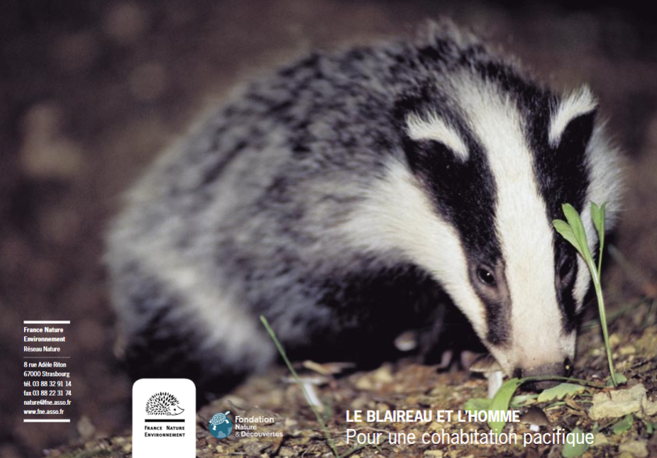 Page de garde du livret "Le blaireau et l'homme : pour une cohabitation pacifique" de France Nature Environnement