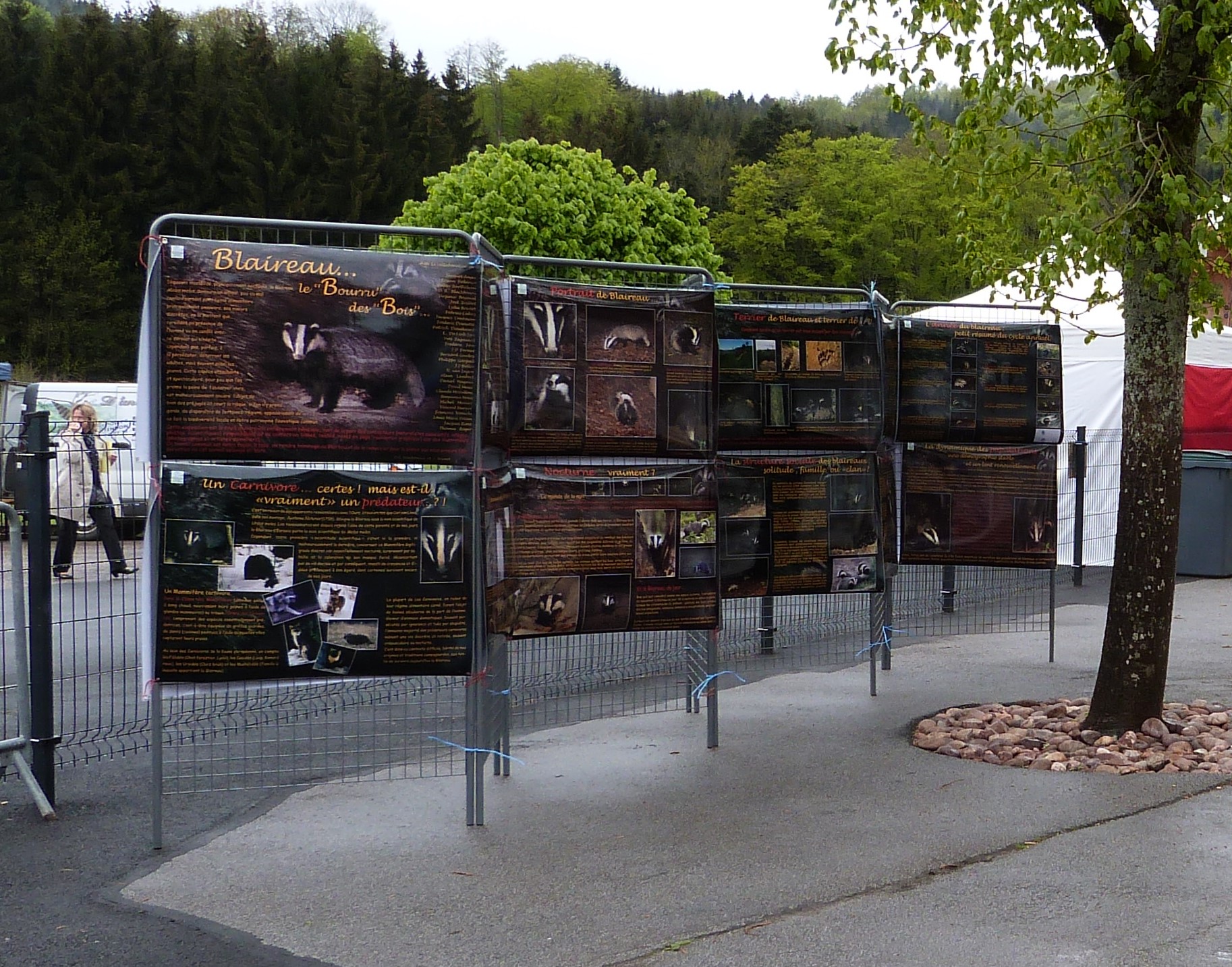 Photo des panneaux de l'exposition "Blaireau, le bourru des bois" installés en extérieur.