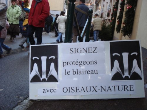 Panneau invitant à signer la pétition Oiseaux-Nature pour la protection du blaireau.