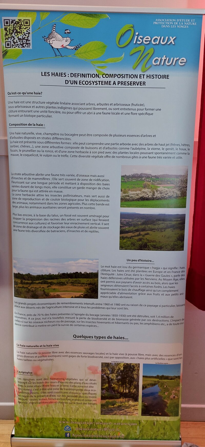Exposition Oiseaux-Nature sur les haies : panneau explicatif de ce qu'est une haie.