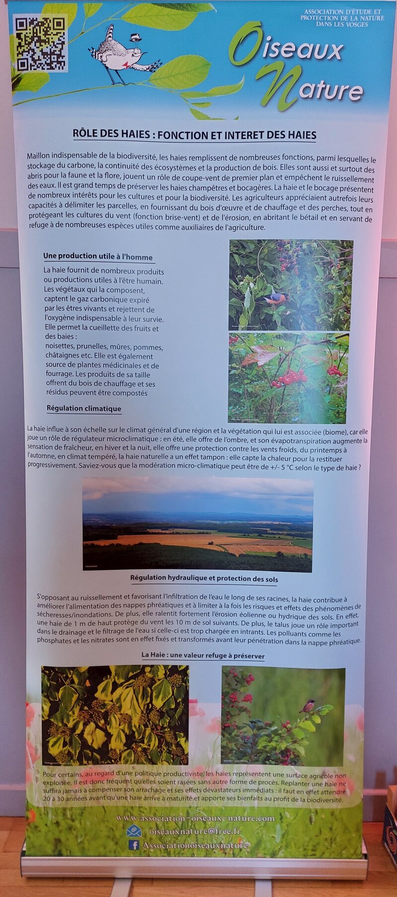 Exposition Oiseaux-Nature sur les haies : panneau explicatif des rôles d'une haie.
