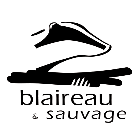 Logo de l'association blaireau sauvage