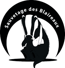 Logo de l'association Meles pour le sauvetage des blaireaux.