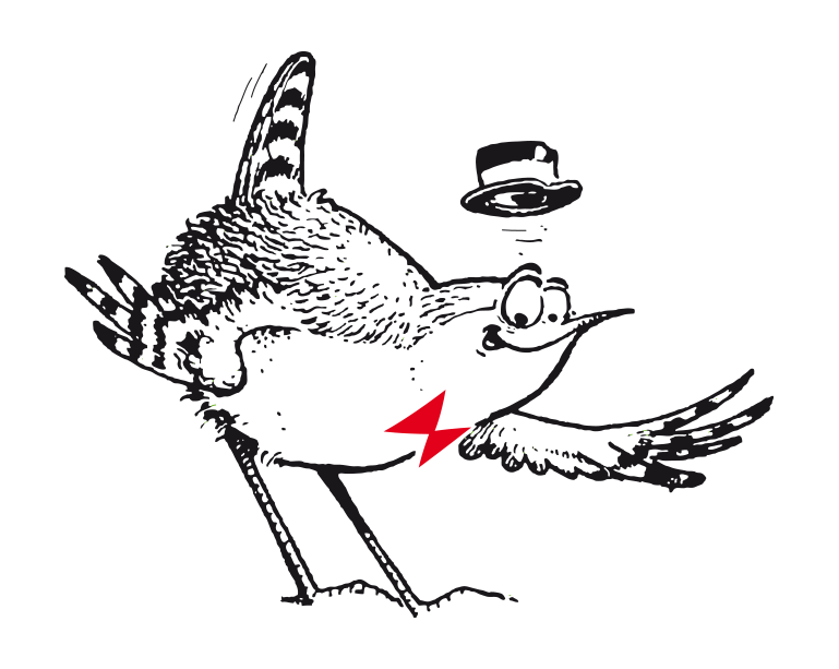 Logo Oiseaux-Nature sans texte sur fond transparent