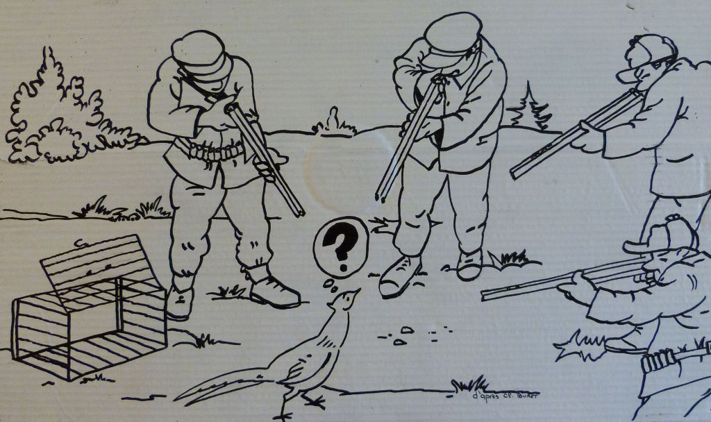Dessin aux traits représentant un faisan sorti d'une cage cerné par quatre chasseurs prêts à tirer.