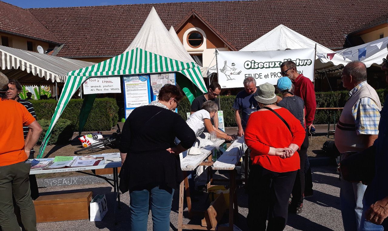 Atelier nids d'hirondelles au festival La Vida : les participants sont en pleine fabrication.