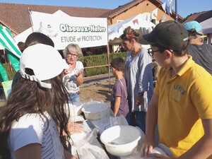 Atelier nids d'hirondelles au festival La Vida : les participants écoutent la formatrice donnée les consignes.