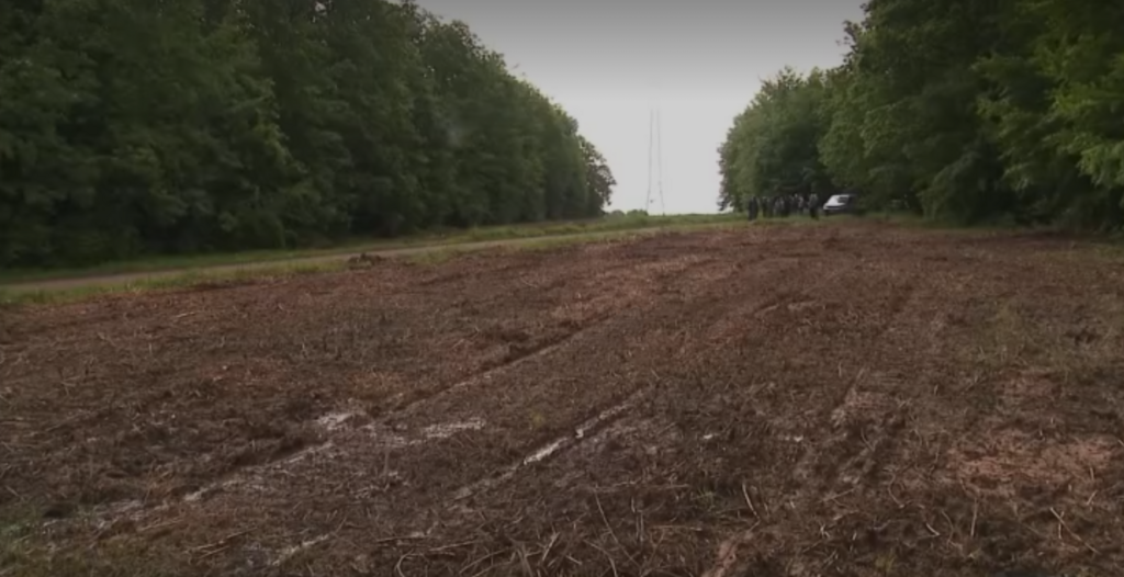 Parcelle forestière totalement défrichée en plein mois de mai.