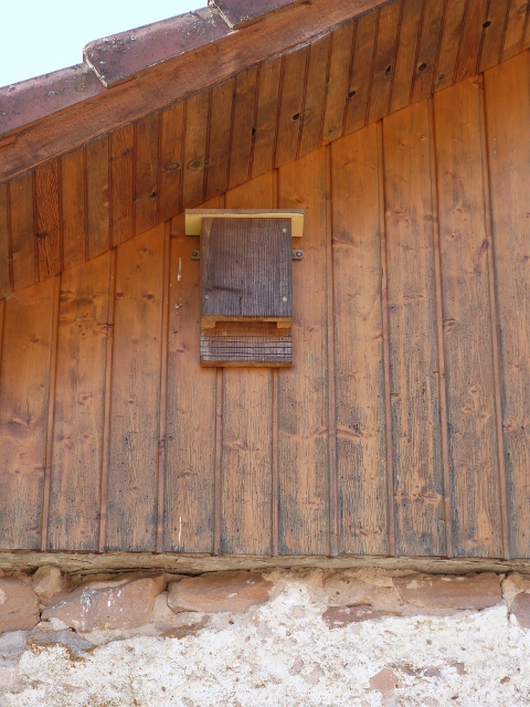 Gîte à chauves-souris installé sur le mur d'une habitation.