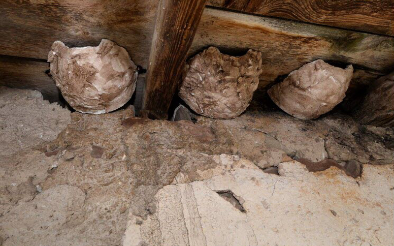 Trois nids d'hirondelles en plâtre installés sous l'avancée d'un toit.