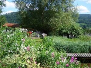 Photo d'un jardin au naturel avec fleurs sauvage