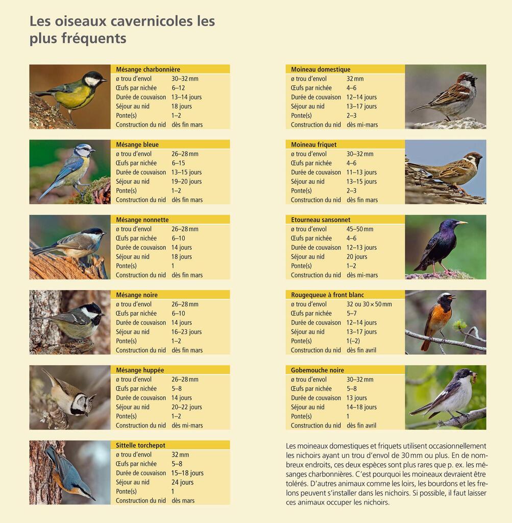Liste des oiseaux cavernicoles les plus fréquents.