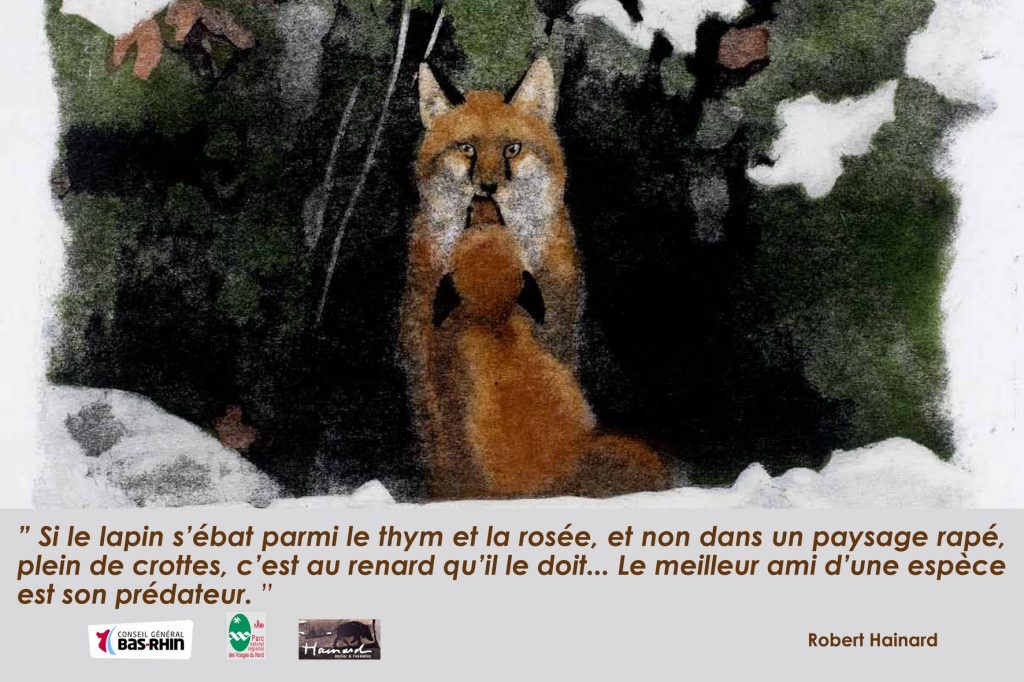Citation de Robert Heinard illustrée d'un dessin aux pastels d'un renard et son petit.