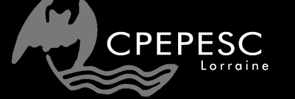 Logo CPEPESC