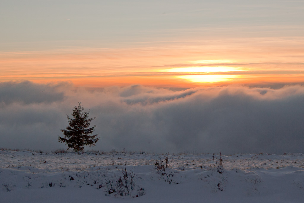 Paysage vosgien : neige et soleil couchant.