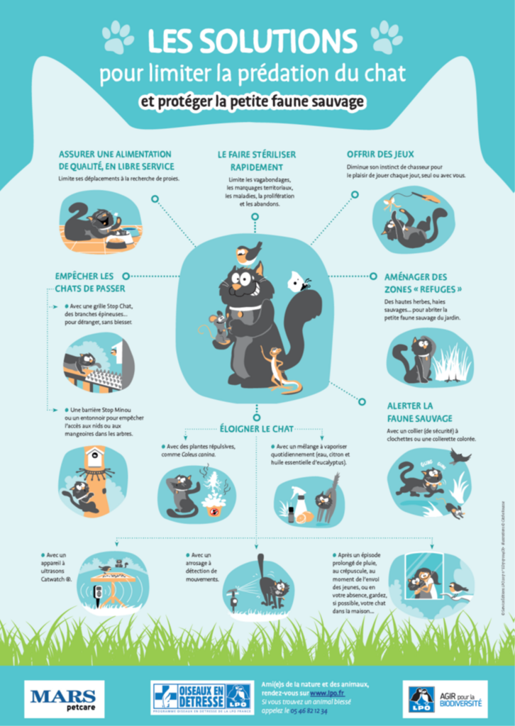 Affiche LPO sur les solutions qui permettent de limiter la prédation des chats sur les oiseaux.