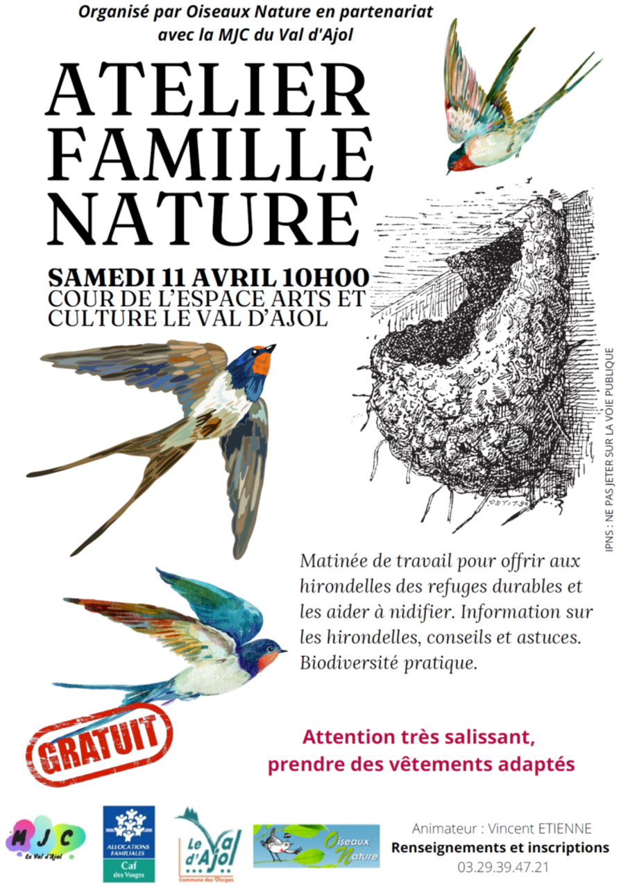 Atelier Fabrication de nids d&rsquo;hirondelles