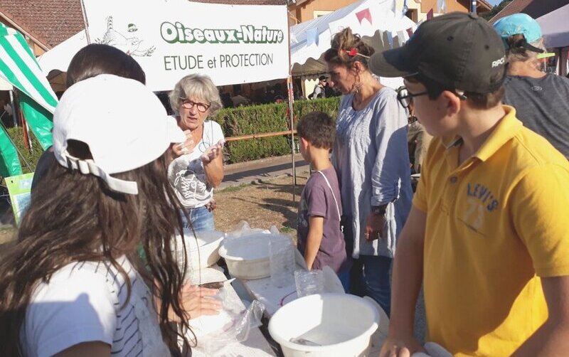 Atelier nids d'hirondelles au festival La Vida : les participants écoutent la formatrice donnée les consignes.
