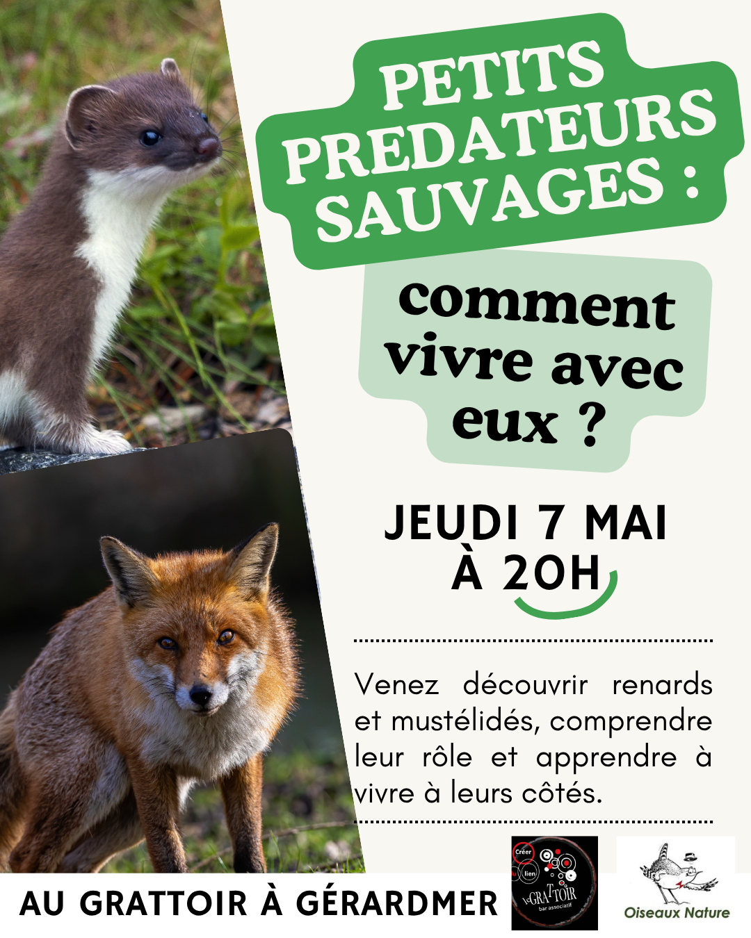 Conférence Petits prédateurs sauvages : comment vivre avec eux ?