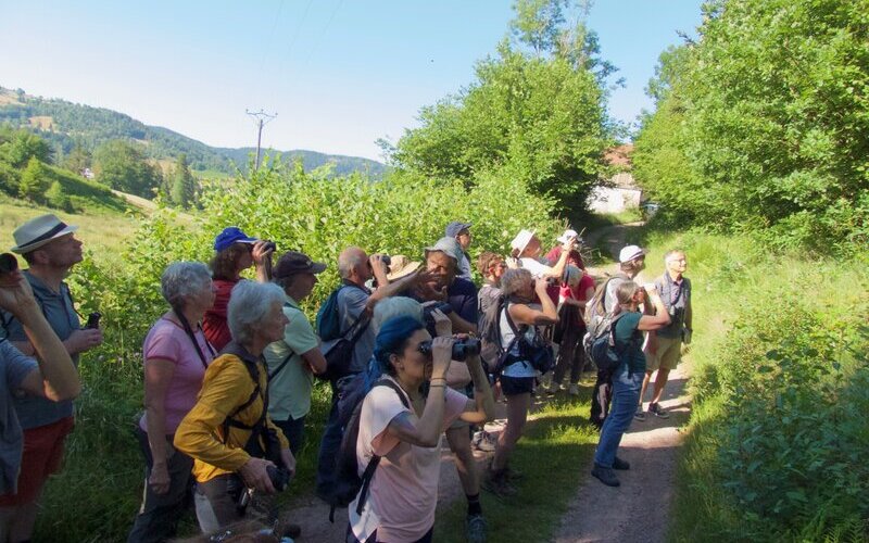 Photo de groupe lors d'une sortie nature