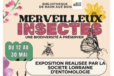 Exposition Merveilleux insectes
